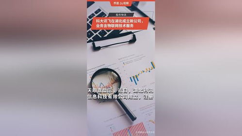 科大訊飛在湖北成立新公司，拓展物聯網技術服務版圖